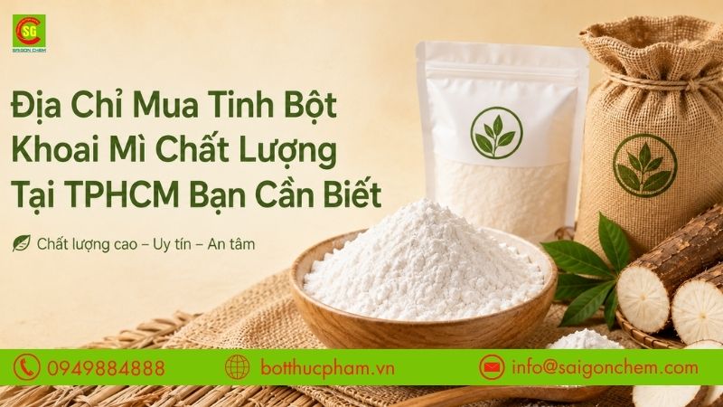 Địa Chỉ Mua Tinh Bột Khoai Mì Chất Lượng Tại TPHCM Bạn Cần Biết